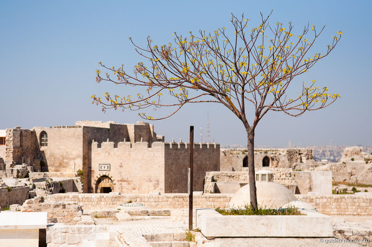 Внутри крепости Внутри крепости