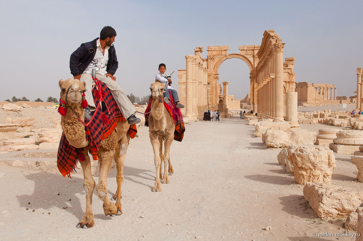 Верблюды в Пальмире с приставучими погонщиками Верблюды в Пальмире с приставучими погонщиками