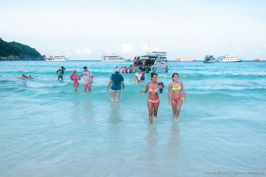 Практически Перл-Харбор, высадка десанта. Прибыли в бухту Дональда Дака. Практически Перл-Харбор, высадка десанта. Прибыли в бухту Дональда Дака.