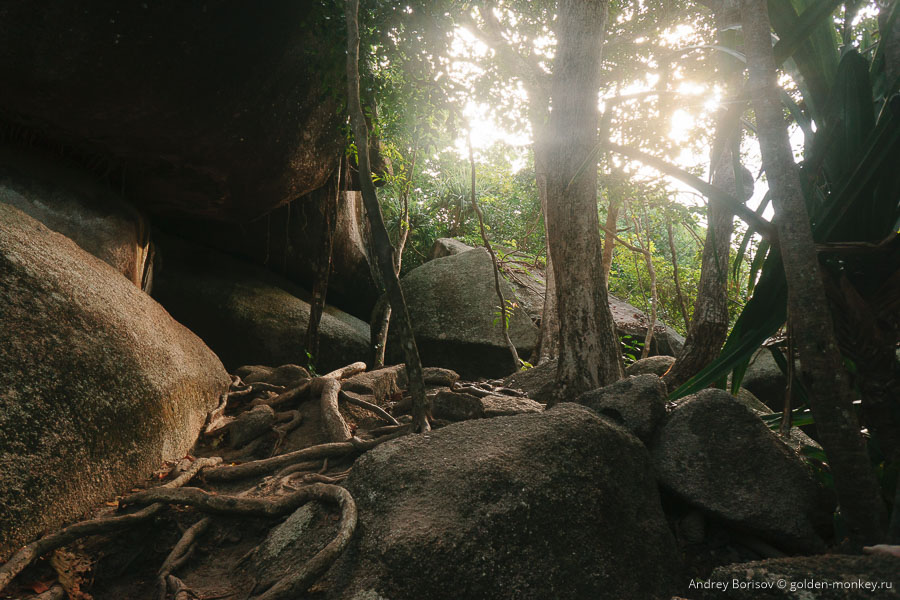 Дорожка наверх весьма живописная и совсем несложная, особенно по сравнению с трейлами Йосемити ;) Дорожка наверх весьма живописная и совсем несложная, особенно по сравнению с трейлами Йосемити ;)