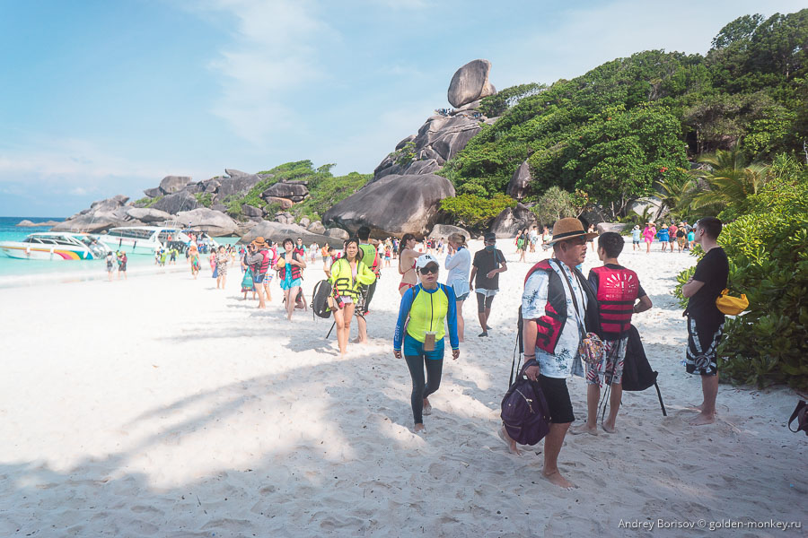 Толпа туристов в бухте Дональда Дака. Толпа туристов в бухте Дональда Дака.