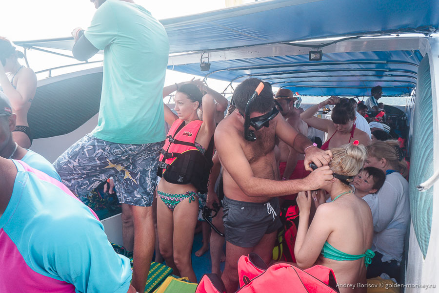 Перед заплывом желающие могут надеть жилеты — так спокойнее, если плаваете плохо, а нырять не собираетесь. Перед заплывом желающие могут надеть жилеты — так спокойнее, если плаваете плохо, а нырять не собираетесь.