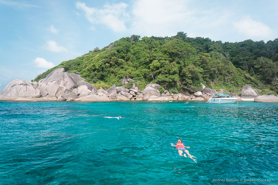 Шеболдасик исследует подводную живность. Шеболдасик исследует подводную живность.