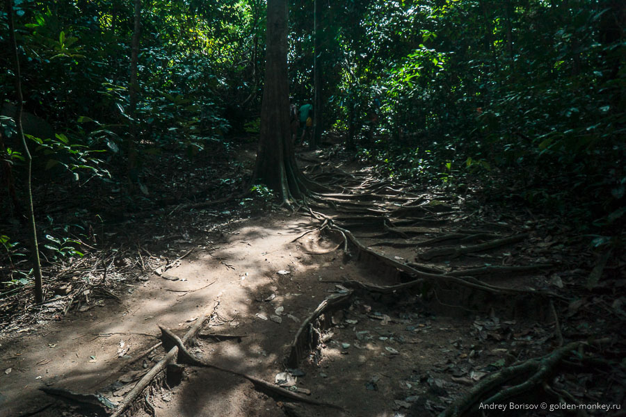 Per aspera ad astra! Все выше и выше! Per aspera ad astra! Все выше и выше!