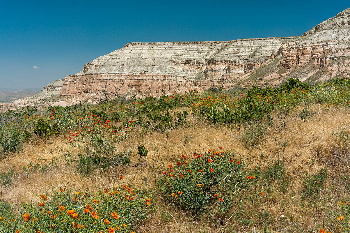 Долины в Каппадокии