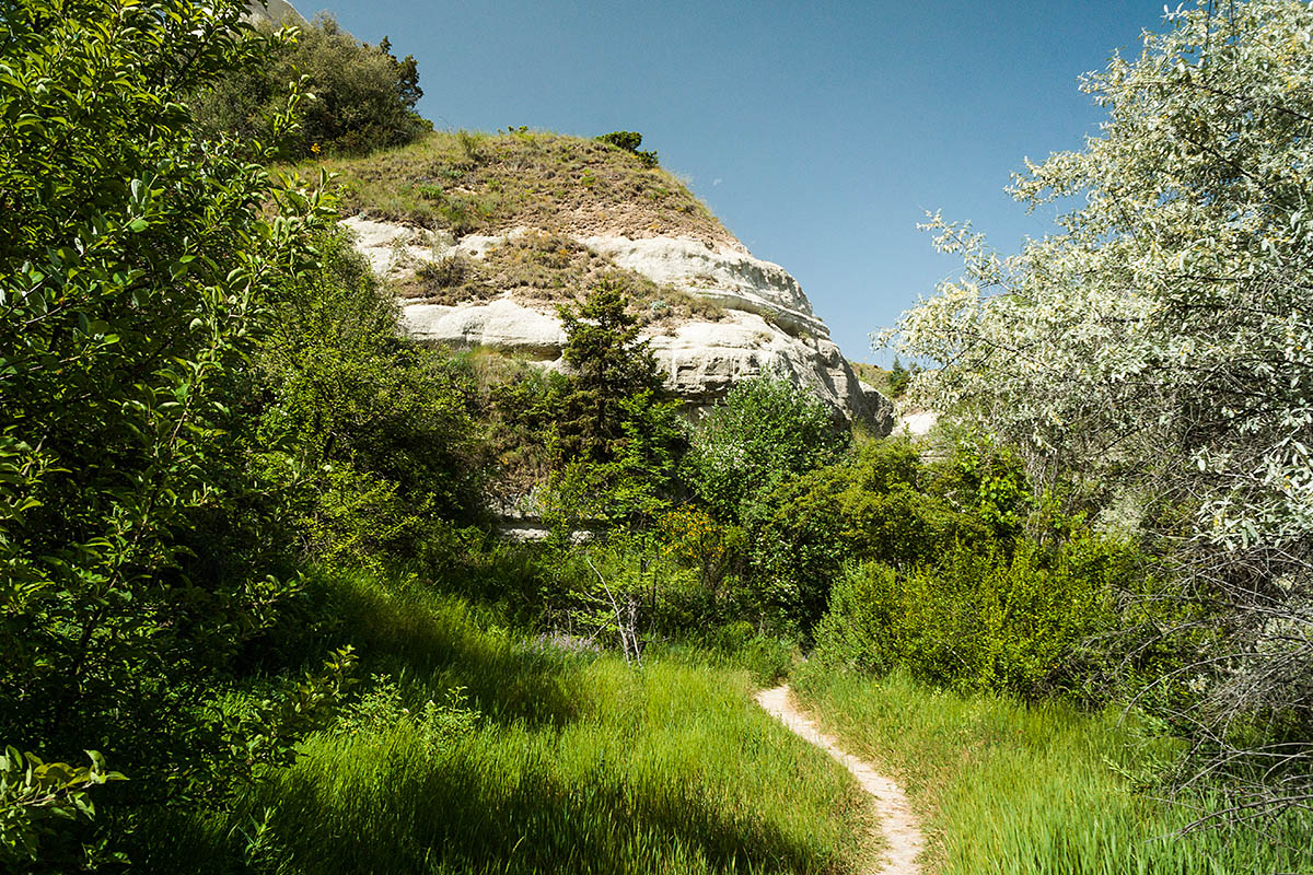 долина Земи