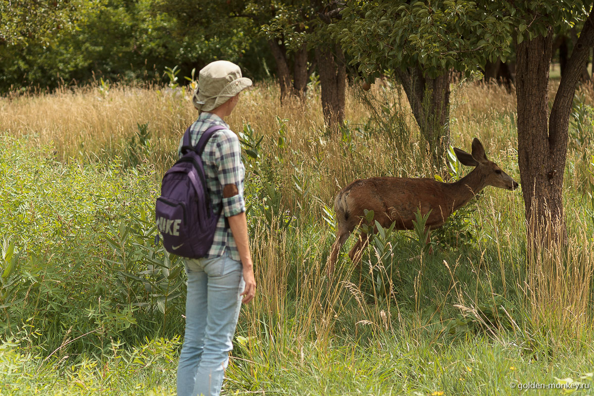 Шеболдасик и Андрюсикс Шеболдасик и Андрюсикс