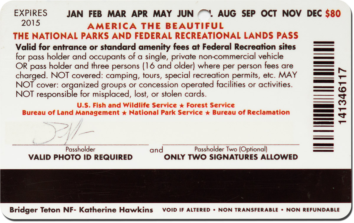 Annual Pass 2014 года (обратная сторона) Annual Pass 2014 года (обратная сторона)