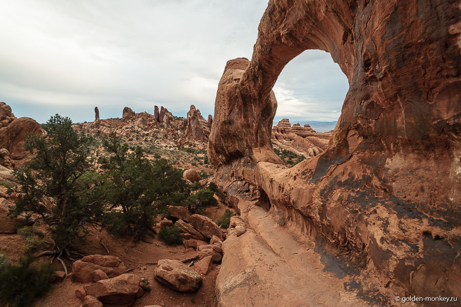 Еще один вариант Double O Arch Еще один вариант Double O Arch