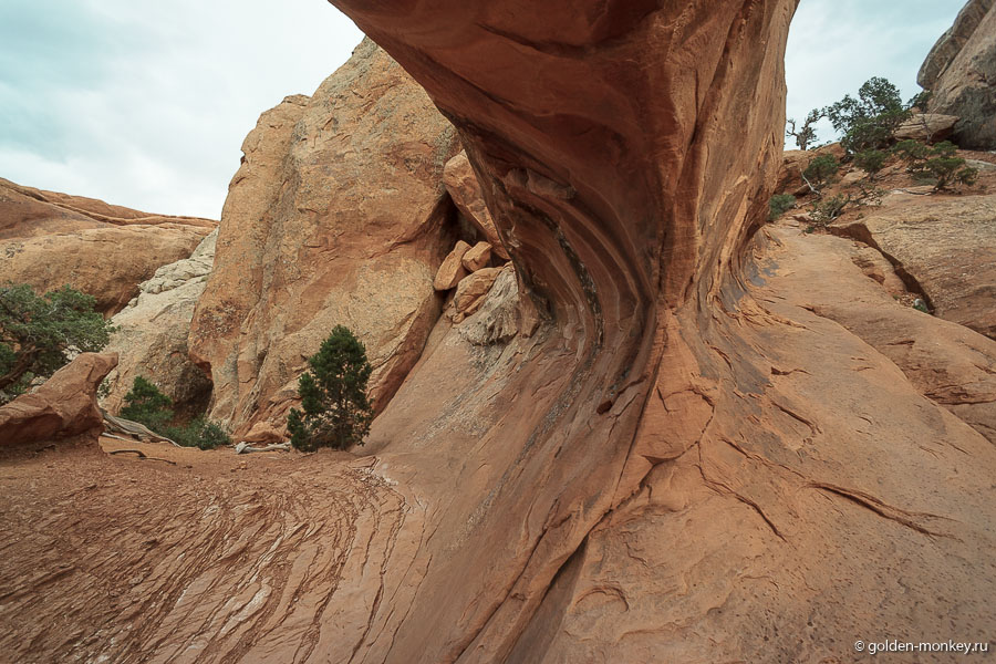 Перекладина арки. Несмотря на то, что сверху в любой момент может что-то свалиться на голову, никакого страха не возникает. Наверно, потому что выглядит все достаточно прочно и устойчиво. Перекладина арки. Несмотря на то, что сверху в любой момент может что-то свалиться на голову, никакого страха не возникает. Наверно, потому что выглядит все достаточно прочно и устойчиво.