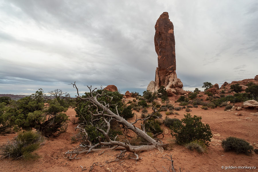 «Темный Ангел» (Dark Angel) – конечная точка основного маршрута. Нас так впечатлило название, что мы отправились специально к этому «чернышу». На деле, как видите, ничего особенного он из себя не представляет, так что если будете ограничены во времени – пропускайте. «Темный Ангел» (Dark Angel) – конечная точка основного маршрута. Нас так впечатлило название, что мы отправились специально к этому «чернышу». На деле, как видите, ничего особенного он из себя не представляет, так что если будете ограничены во времени – пропускайте.