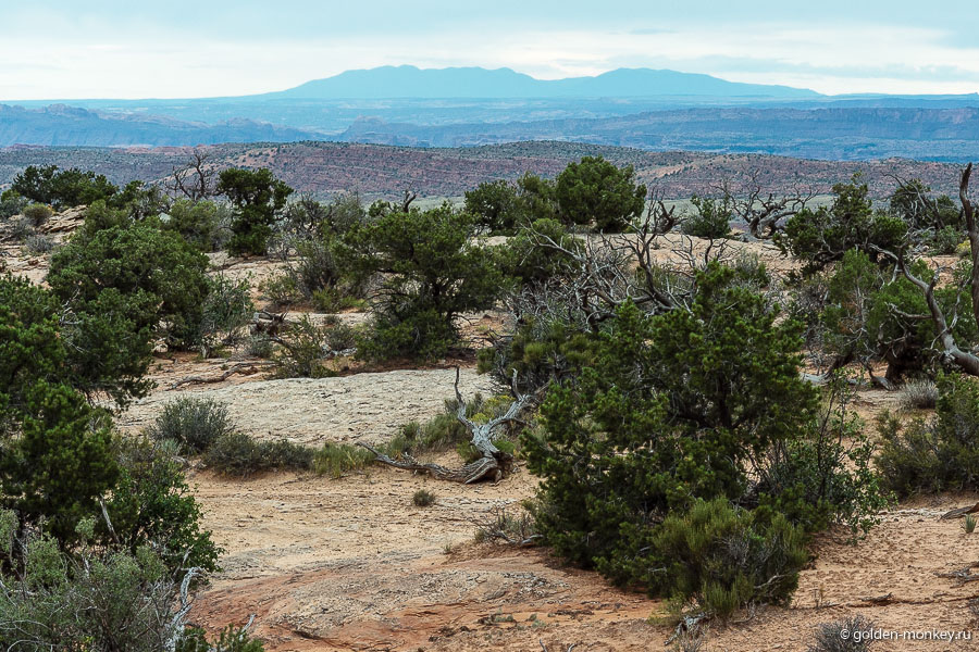 Такие слоеные пейзажи смотрятся очень эффектно! Такие слоеные пейзажи смотрятся очень эффектно!
