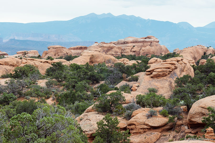 Очень красивое сочетание цветов! Очень красивое сочетание цветов!