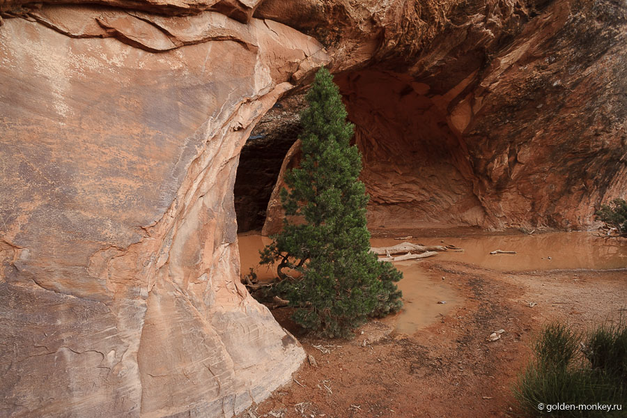 Арка Навахо (Navajo Arch), парк Арки, Юта, США Арка Навахо (Navajo Arch), парк Арки, Юта, США
