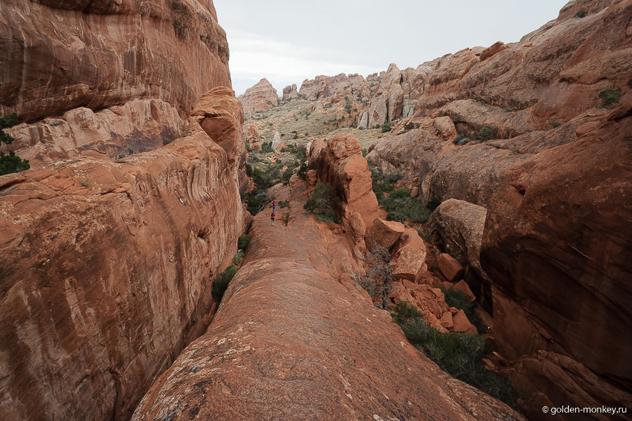 Очередной хребет. Этот нам пришлось преодолевать после того, как начал моросить дождь. Занятие не из приятных, скажу я вам. Очередной хребет. Этот нам пришлось преодолевать после того, как начал моросить дождь. Занятие не из приятных, скажу я вам.