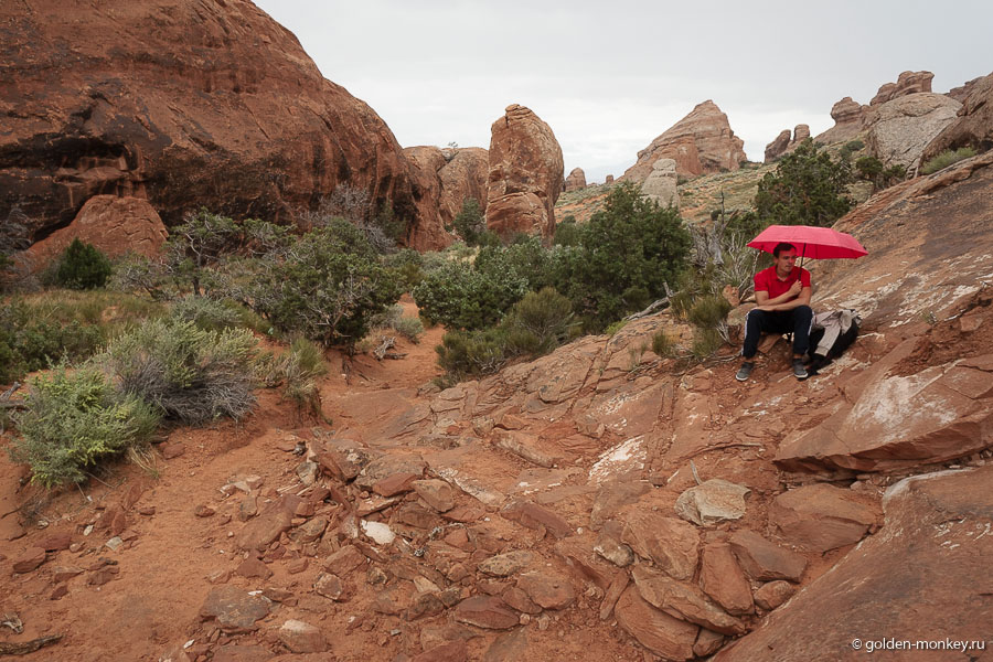 – Интересно, а грибной дождь пойдет? А ягодный? – Интересно, а грибной дождь пойдет? А ягодный?