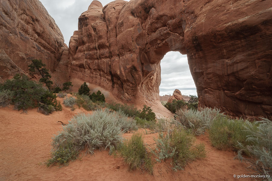 Pine Arch, национальный парк Арки, США Pine Arch, национальный парк Арки, США
