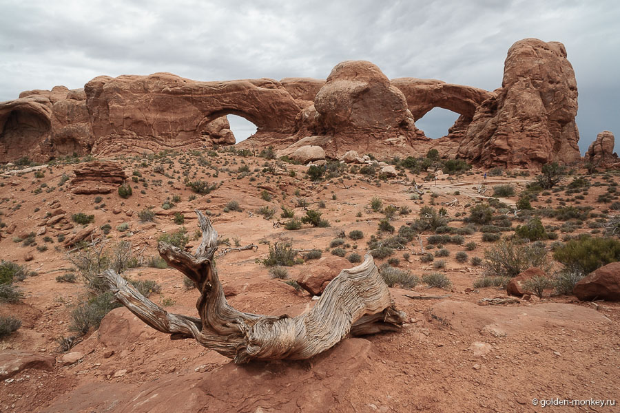 Северное и южное окна во всей красе. Ну, чем не карнавальная маска? Даже с носом. Северное и южное окна во всей красе. Ну, чем не карнавальная маска? Даже с носом.
