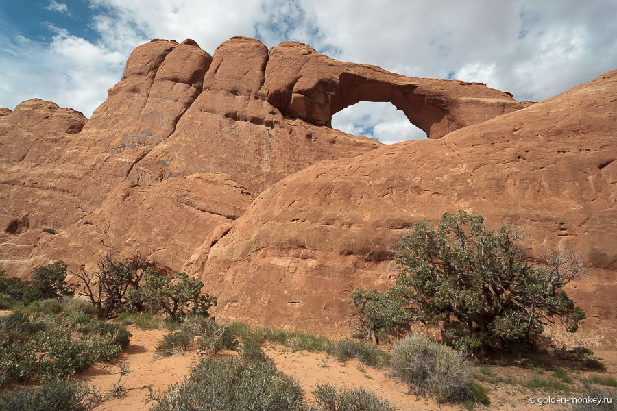 Смотрите, как она высоко! Ну как люди туда забираются? Может, с обратной стороны? Мы-то опять туда не пошли. Смотрите, как она высоко! Ну как люди туда забираются? Может, с обратной стороны? Мы-то опять туда не пошли.