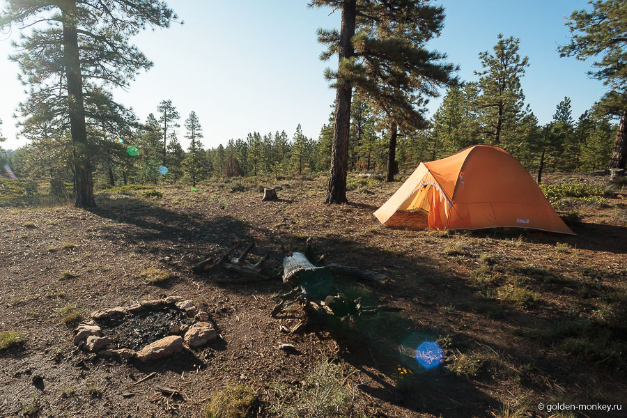 Примитивное палаточное место в Dixie National Forest рядом с парком Брайс-Каньон Примитивное палаточное место в Dixie National Forest рядом с парком Брайс-Каньон