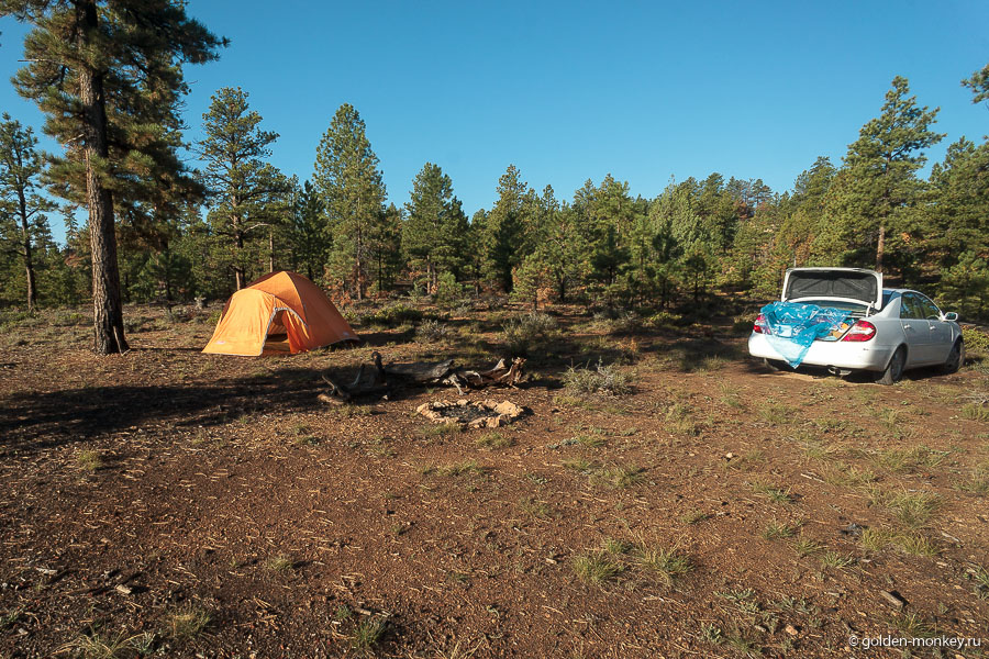 Наше палаточное место в Dixie National Forest (второе) Наше палаточное место в Dixie National Forest (второе)