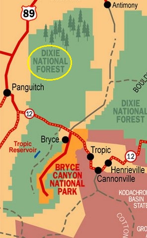 Схема расположения национального леса Dixie рядом с Брайс-Каньоном