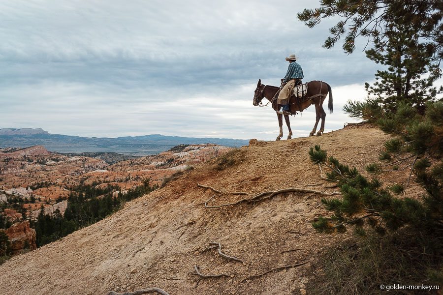 Ковбой на лошади из Брайс-Каньона Ковбой на лошади из Брайс-Каньона