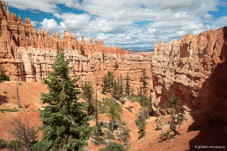 Один из трейлов национального парка Брайс-Каньон, США Один из трейлов национального парка Брайс-Каньон, США