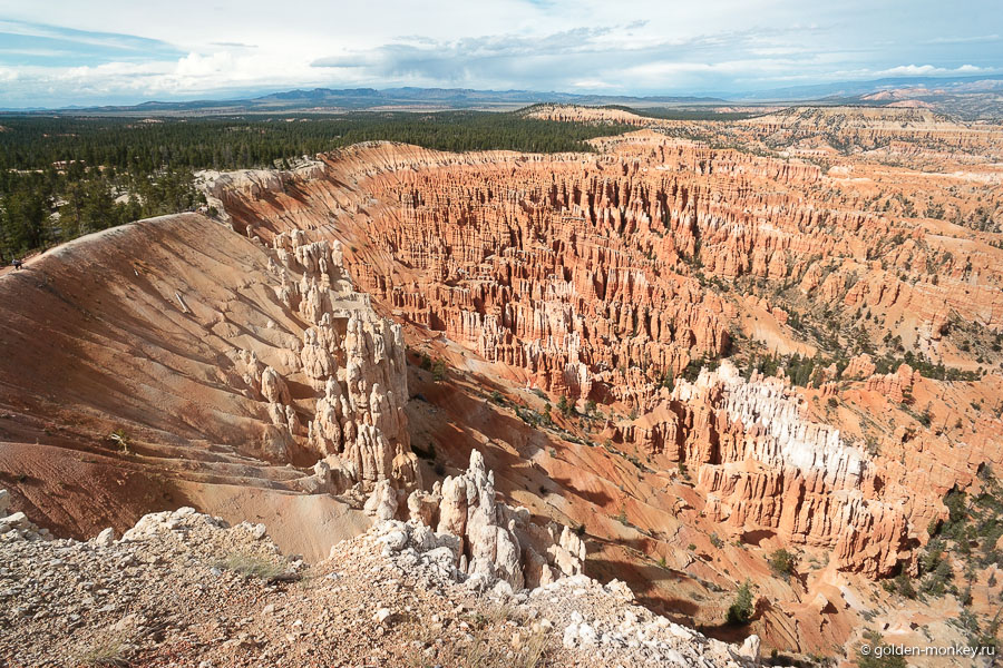 Ну чем не амфитеатр, правда? Ну чем не амфитеатр, правда?