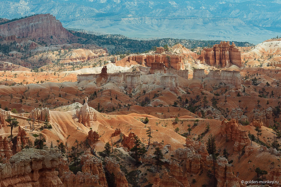 Игра света и тени на Sunrise Point Игра света и тени на Sunrise Point