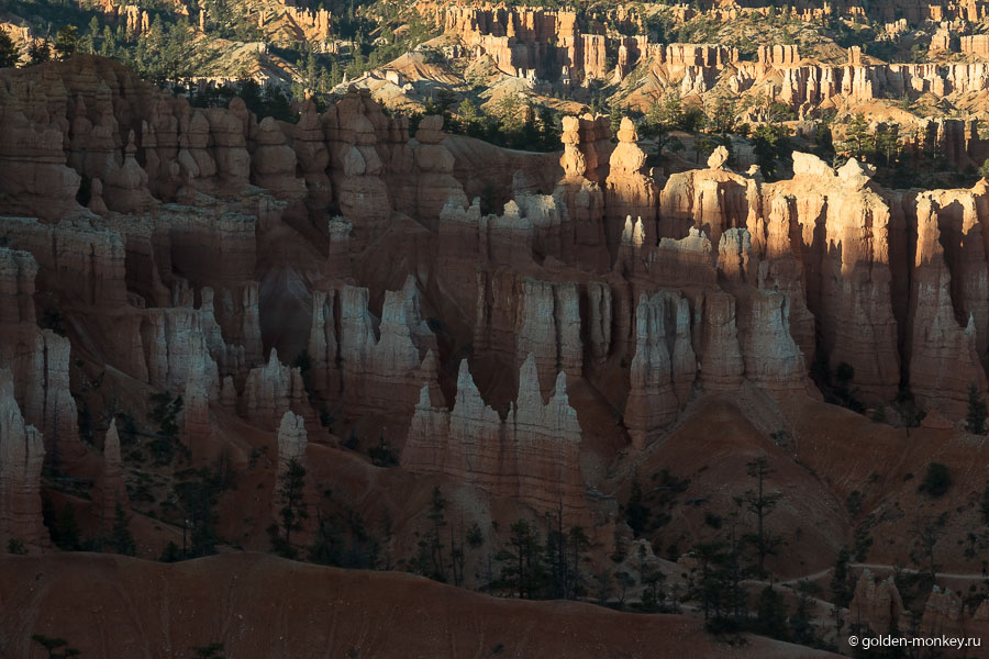 Основной цвет Брайс-Каньона, конечно же, насыщенный оранжевый, хотя в целом цветовая гамма куда более разнообразна. Основной цвет Брайс-Каньона, конечно же, насыщенный оранжевый, хотя в целом цветовая гамма куда более разнообразна.