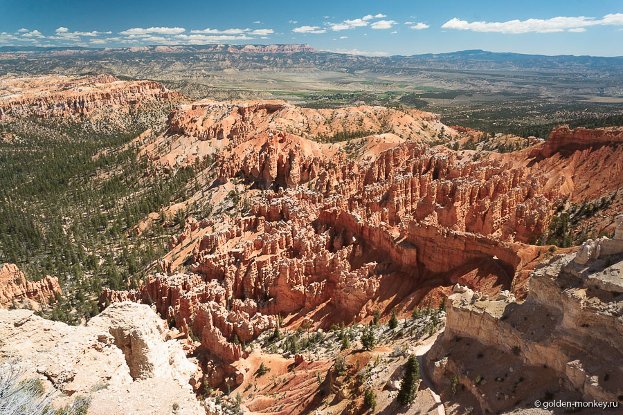 Отсюда берет начало длиннющий Under-the-Rim Trail, уходящий на юг через бэккантри. Отсюда берет начало длиннющий Under-the-Rim Trail, уходящий на юг через бэккантри.
