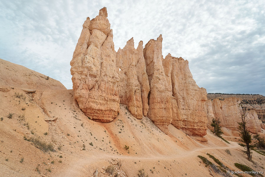 Прекрасное не заставило себя ждать и появилось сразу и отовсюду. Хотя, чего удивляться, ведь и трейл-то называется не как иначе, как «Волшебная страна». Тропинка петлей проходит по дну каньона, среди худу и прочих оранжево-бело-желто-розовых декораций. Прекрасное не заставило себя ждать и появилось сразу и отовсюду. Хотя, чего удивляться, ведь и трейл-то называется не как иначе, как «Волшебная страна». Тропинка петлей проходит по дну каньона, среди худу и прочих оранжево-бело-желто-розовых декораций.