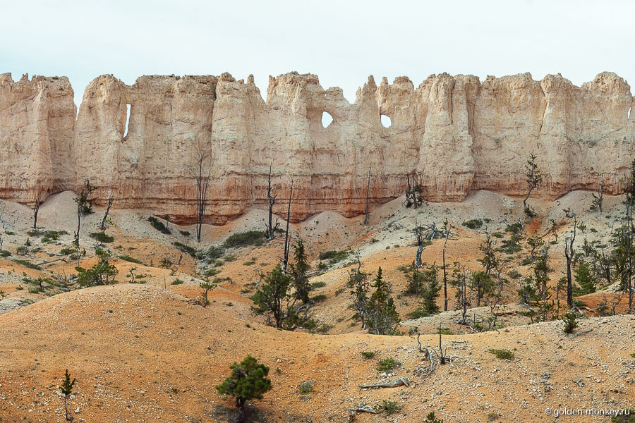 Вот, например, Китайская стена (Chinese Wall). Настоящую мы пока не видели, а эта очень даже понравилась )) Вот, например, Китайская стена (Chinese Wall). Настоящую мы пока не видели, а эта очень даже понравилась ))