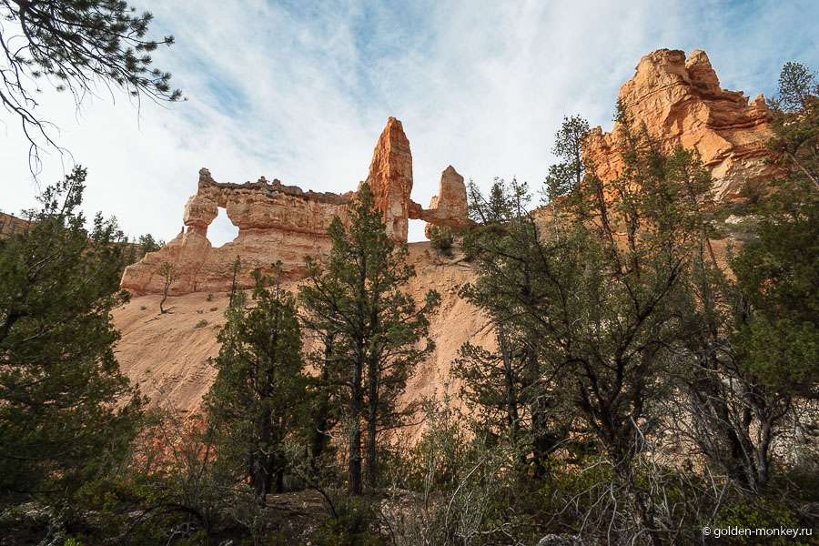 Долго ли, коротко ли, добрались до природного моста Tower Bridge. Здесь заканчивается одноименный трейл, которой является частью Fairyland Loop. Долго ли, коротко ли, добрались до природного моста Tower Bridge. Здесь заканчивается одноименный трейл, которой является частью Fairyland Loop.