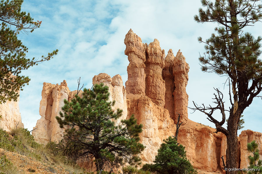 Теперь познакомимся поближе )) Даже не верится, что на месте Брайс-Каньона когда-то было сплошное плато. Вот что способна сотворить эрозия. Жаль только, что когда-то и это все будет ею же разрушено. Теперь познакомимся поближе )) Даже не верится, что на месте Брайс-Каньона когда-то было сплошное плато. Вот что способна сотворить эрозия. Жаль только, что когда-то и это все будет ею же разрушено.