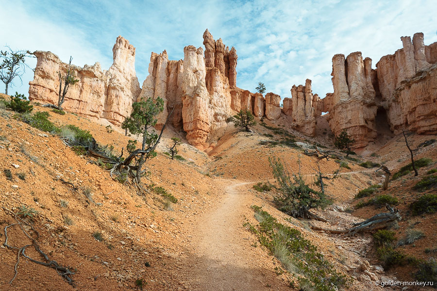 Мы продолжаем путь, встречая то тут, то там забавные фигуры из песчаника. Вот, что значит податливый материал. В центре внимания, конечно же, худу. Кто-то сравнивает их с башенками, кто-то с пальцами, индейцы, например, вообще считали, что это окаменевшие люди. Но главное не в этом, а в том, что очень красиво и необычно. Мы продолжаем путь, встречая то тут, то там забавные фигуры из песчаника. Вот, что значит податливый материал. В центре внимания, конечно же, худу. Кто-то сравнивает их с башенками, кто-то с пальцами, индейцы, например, вообще считали, что это окаменевшие люди. Но главное не в этом, а в том, что очень красиво и необычно.