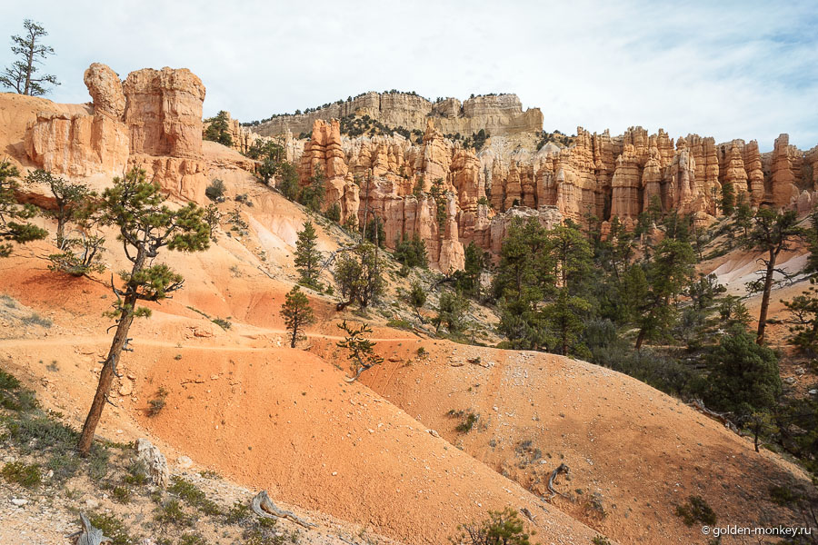 Потеряться в Волшебной стране не получится при всем желании, тропинка отлично видна, даже никаких указателей не надо. За все время, пока шли, встретили всего около четырех человек, лишь к концу столкнувшись с группой из нескольких туристов. Не самый популярный трейл, наверно, потому что длинный. Не каждый захочет топать беспрерывно тринадцать километров. Потеряться в Волшебной стране не получится при всем желании, тропинка отлично видна, даже никаких указателей не надо. За все время, пока шли, встретили всего около четырех человек, лишь к концу столкнувшись с группой из нескольких туристов. Не самый популярный трейл, наверно, потому что длинный. Не каждый захочет топать беспрерывно тринадцать километров.