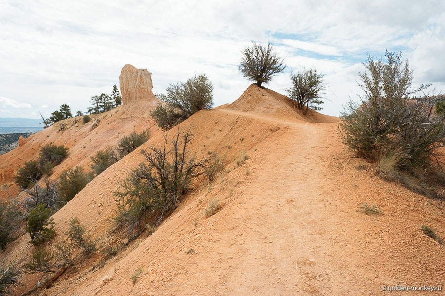 Прелесть этой тропинки в том, что можно увидеть каньон и снизу, и сверху, а это совершенно разные ощущения и впечатления. Прелесть этой тропинки в том, что можно увидеть каньон и снизу, и сверху, а это совершенно разные ощущения и впечатления.