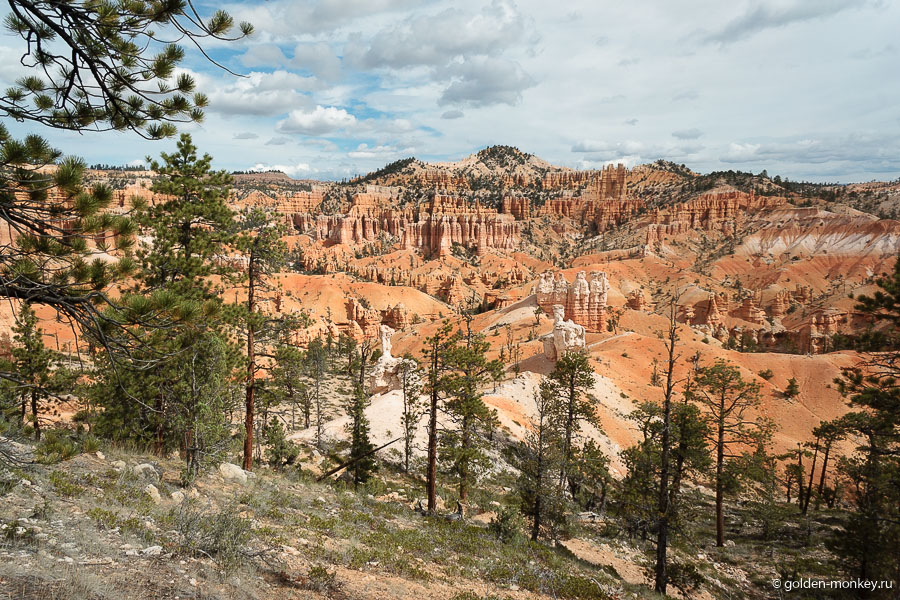 Зимой здесь, впрочем, как и во всем парке, все засыпано снегом, думаю, зрелище не менее красивое, особенно, если учесть контраст цветов. Зимой здесь, впрочем, как и во всем парке, все засыпано снегом, думаю, зрелище не менее красивое, особенно, если учесть контраст цветов.