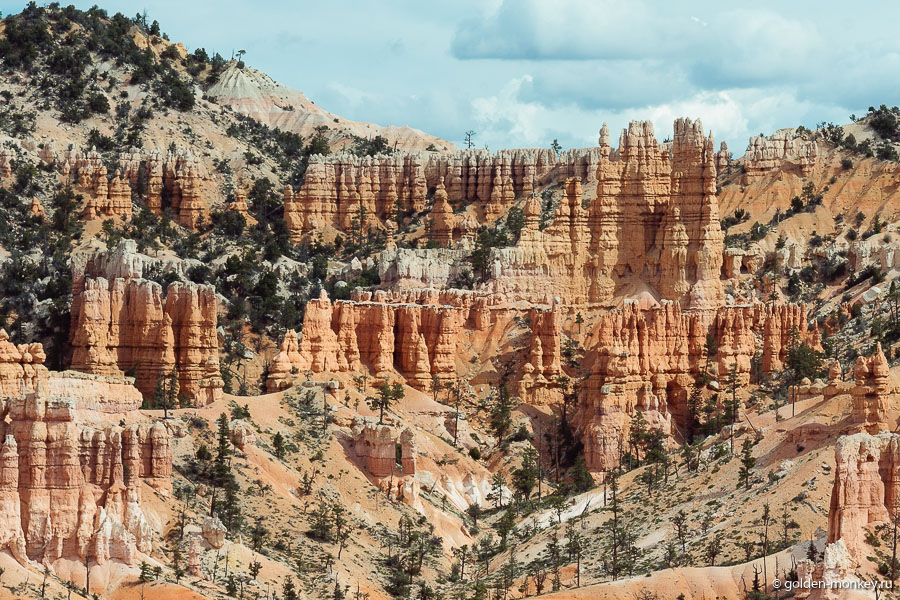 Разноцветные худу всевозможных размеров создают рельефные картины, которые являются визитной карточкой Брайс-Каньона. Уж его-то вы точно ни с каким другим парком не перепутаете. Разноцветные худу всевозможных размеров создают рельефные картины, которые являются визитной карточкой Брайс-Каньона. Уж его-то вы точно ни с каким другим парком не перепутаете. Постепенно тропинка выходит наверх – на кромку амфитеатра, где поджидает Fairyland Point. С него открывается вид на всю красоту, среди которой только что гуляли. Дальше этот трейл совпадает с Rim Trail и постепенно круг замыкается неподалеку от Sunrise Point.