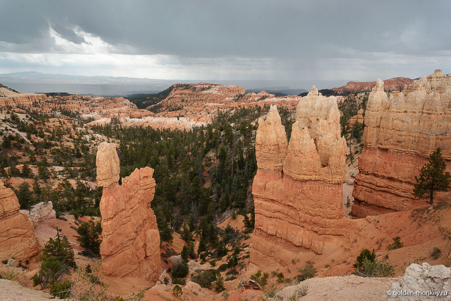 Такая картина предстала перед глазами, когда мы отправились в Рим-Трейл с Фэйрилэнд-Поинт. Смотрится, конечно, эпично, но гулять под дождем не слишком приятно, хорошо хоть дождевики с собой были. Окажетесь в Брайсе в августе-сентябре, тоже не забудьте взять их с собой, дожди бывают частенько. Такая картина предстала перед глазами, когда мы отправились в Рим-Трейл с Фэйрилэнд-Поинт. Смотрится, конечно, эпично, но гулять под дождем не слишком приятно, хорошо хоть дождевики с собой были. Окажетесь в Брайсе в августе-сентябре, тоже не забудьте взять их с собой, дожди бывают частенько.