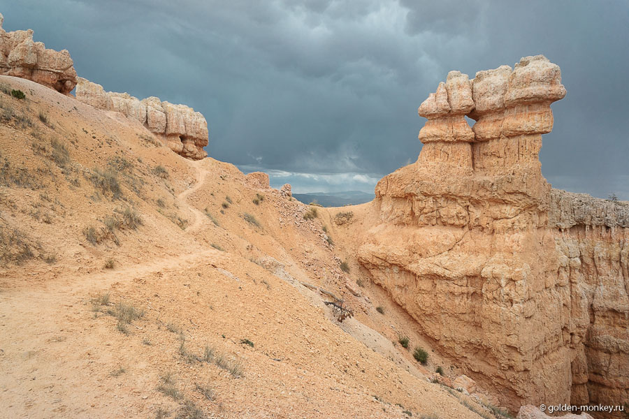 Контраст. Контраст.