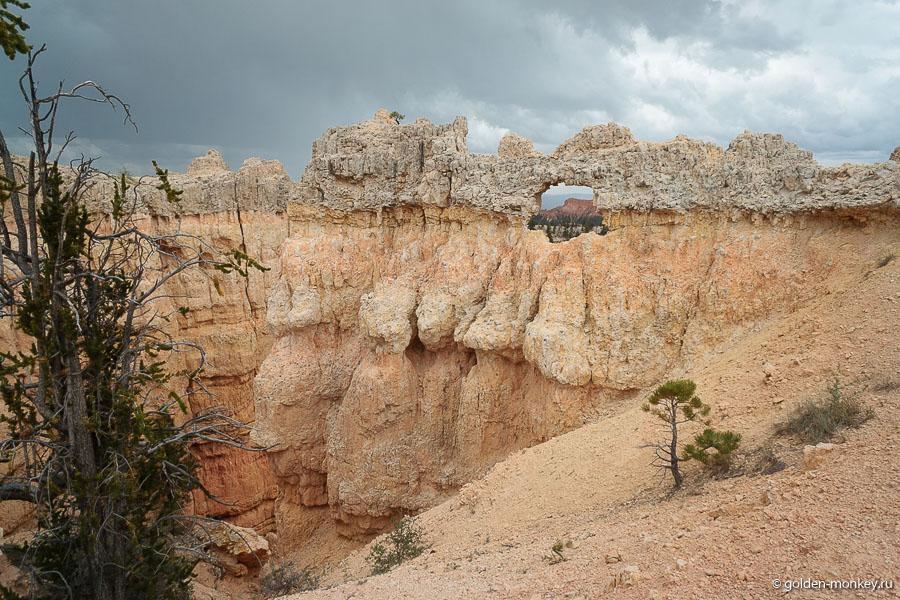 На самом деле, виды сменяются не слишком динамично, остается высматривать всякие мелочи. Дойдя до Sunrise Point, загрузились в машину и отправились в визитор-центр ждять, пока образуется погода. В Visitor Center есть возможность подключиться бесплатно к вай-фай, так что время там летит незаметно )) На самом деле, виды сменяются не слишком динамично, остается высматривать всякие мелочи. Дойдя до Sunrise Point, загрузились в машину и отправились в визитор-центр ждять, пока образуется погода. В Visitor Center есть возможность подключиться бесплатно к вай-фай, так что время там летит незаметно ))