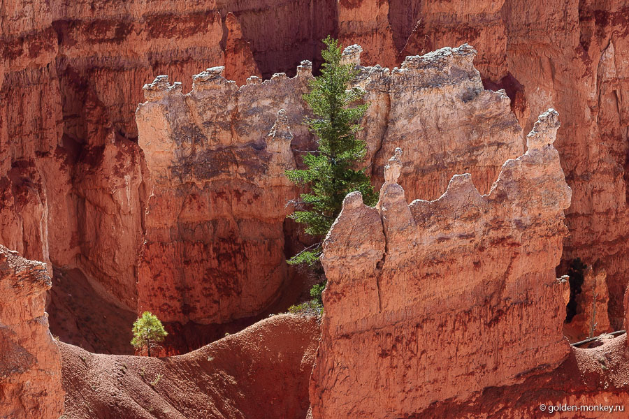 В самом начале трейл встречает замысловатыми лабиринтами, в которых можно рассмотреть домики и вообще целый дворец. Мы так решили, что где-то тут королева и живет )) В самом начале трейл встречает замысловатыми лабиринтами, в которых можно рассмотреть домики и вообще целый дворец. Мы так решили, что где-то тут королева и живет ))