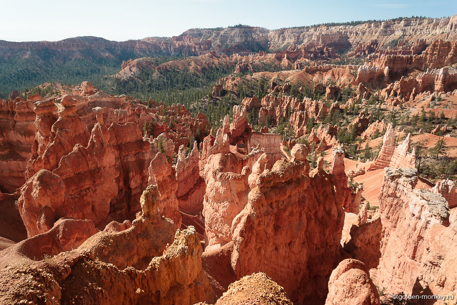 Все выглядит так хрупко и изящно, что невольно удивляешься, как оно вообще держится? Все выглядит так хрупко и изящно, что невольно удивляешься, как оно вообще держится?