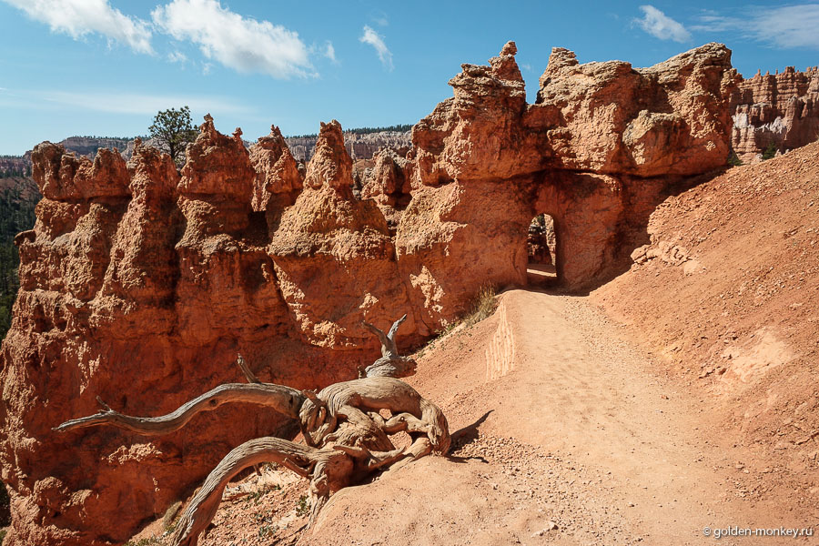 Гуляя по королевскому саду, можно увидеть не только худу, но и природные арки, отлично вписавшиеся в маршрут, а также, ту саму королеву Викторию в самом конце трейла. Мы ее не сфотографировали, так что это будет сюрприз )) Гуляя по королевскому саду, можно увидеть не только худу, но и природные арки, отлично вписавшиеся в маршрут, а также, ту саму королеву Викторию в самом конце трейла. Мы ее не сфотографировали, так что это будет сюрприз ))