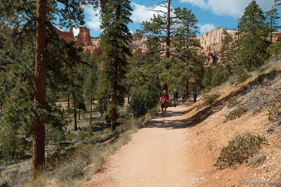 Кто не желает возвращаться тем же путем назад, может плавненько перейти к следующему трейлу – Navajo Loop. Мы так и сделали. Кто не желает возвращаться тем же путем назад, может плавненько перейти к следующему трейлу – Navajo Loop. Мы так и сделали.