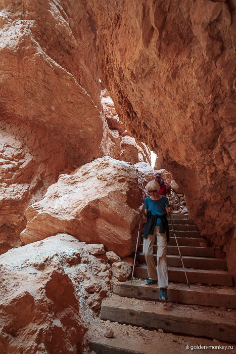 Говорят, Навахо-Трейл – один из самых опасных в плане камнепадов, а еще несколько лет подряд тут случались оползни (последний, кажется, был в 2011 году). Так что будьте аккуратней! Говорят, Навахо-Трейл – один из самых опасных в плане камнепадов, а еще несколько лет подряд тут случались оползни (последний, кажется, был в 2011 году). Так что будьте аккуратней!