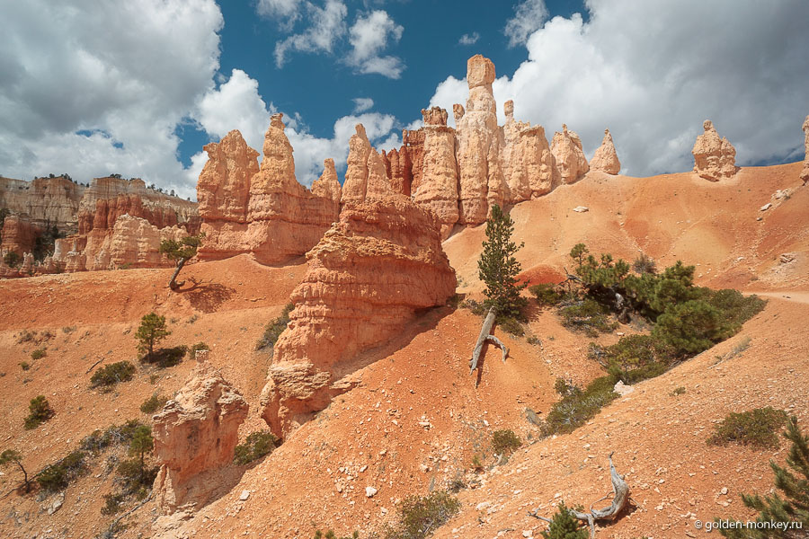 Правда, похоже на замок какой-нибудь волшебной феи? Думаю, даже самые угрюмые взрослые чувствуют себя – здесь как в сказке. Правда, похоже на замок какой-нибудь волшебной феи? Думаю, даже самые угрюмые взрослые чувствуют себя – здесь как в сказке.
